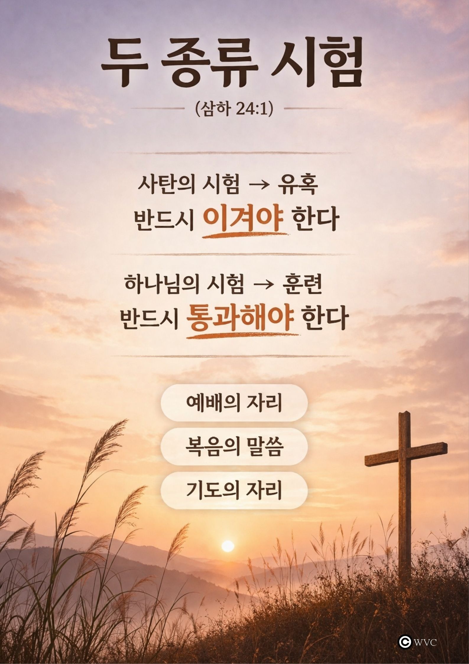 260412두종류시험.jpg 260412두종류시험.jpg